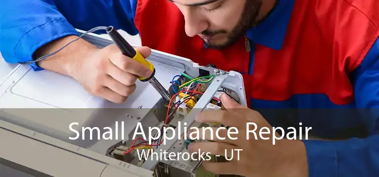 Small Appliance Repair Whiterocks - UT