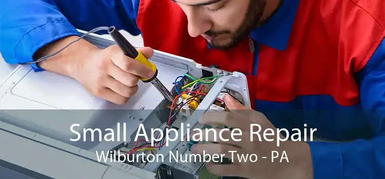 Small Appliance Repair Wilburton Number Two - PA