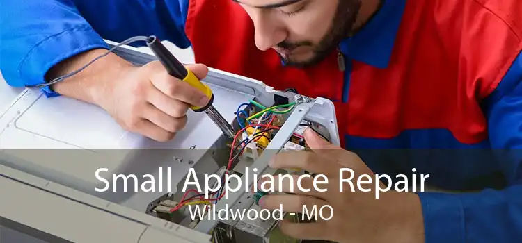 Small Appliance Repair Wildwood - MO