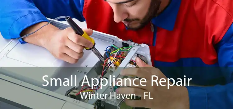 Small Appliance Repair Winter Haven - FL