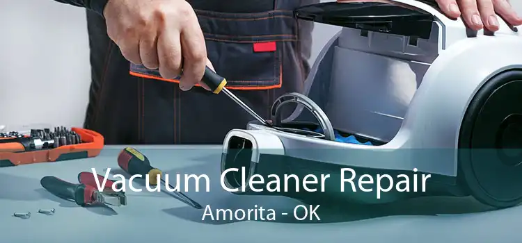Vacuum Cleaner Repair Amorita - OK