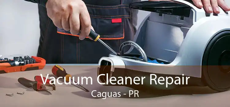 Vacuum Cleaner Repair Caguas - PR
