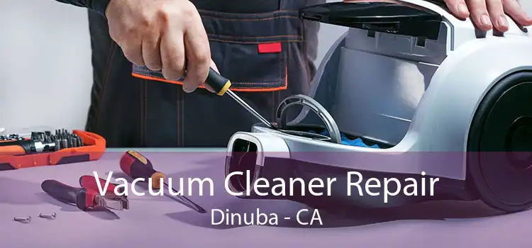 Vacuum Cleaner Repair Dinuba - CA
