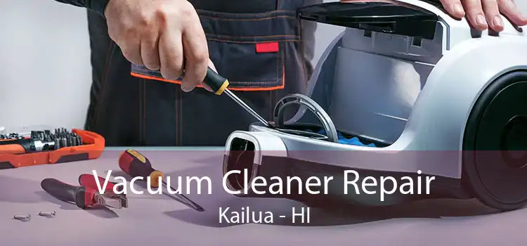 Vacuum Cleaner Repair Kailua - HI