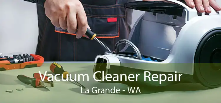 Vacuum Cleaner Repair La Grande - WA
