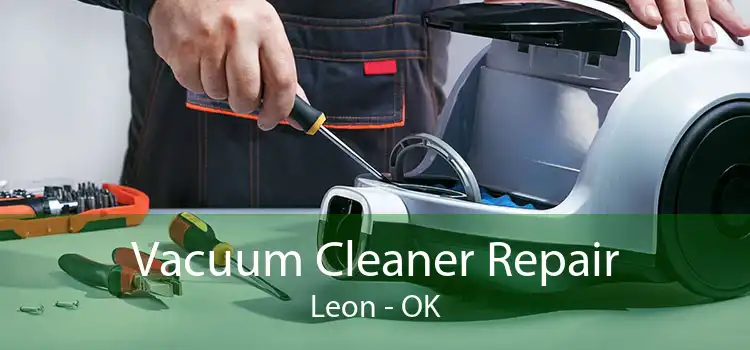 Vacuum Cleaner Repair Leon - OK