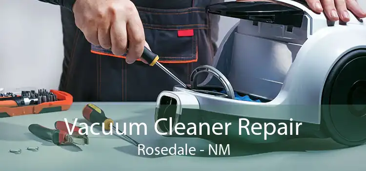 Vacuum Cleaner Repair Rosedale - NM