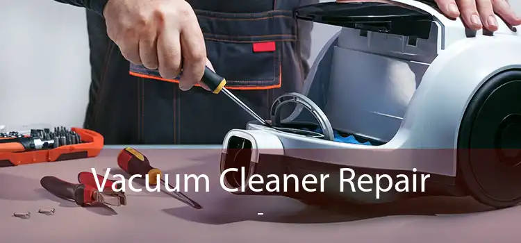 Vacuum Cleaner Repair