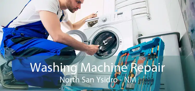 Washing Machine Repair North San Ysidro - NM