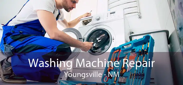 Washing Machine Repair Youngsville - NM